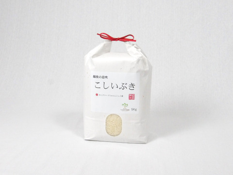 期待の粒感　R7年新米　魚沼産こしいぶき　精米5Kg