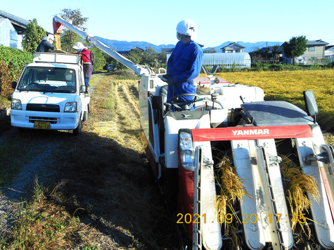新潟産【こしひかり】1㎏×2袋と【新之助】1㎏×1袋と【恋の予感】1㎏×1袋の3品種で4袋と【縁結び】300ｇ×1袋と【ひとめぼれ】300ｇ×1袋の合計6袋での4.6㎏です