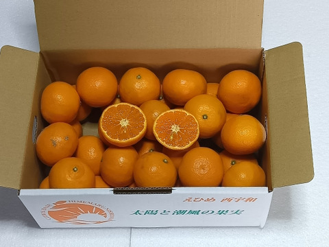 濃厚果汁！南津海(なつみ)　ご家庭用小玉・３Kg