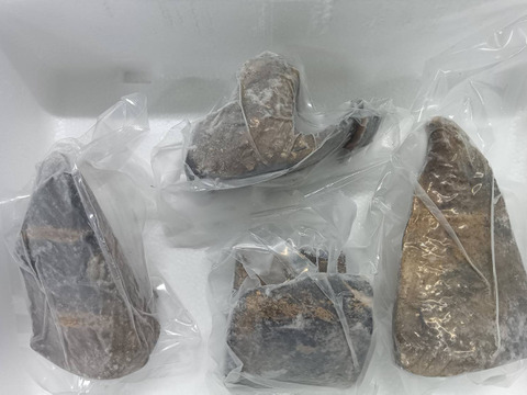 B1カツオ藁焼き4ブロック