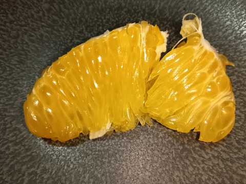 八朔　自然栽培　大人の和風柑橘