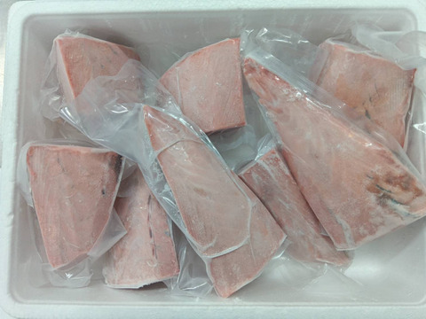 B1カツオ赤身刺身用8ブロック