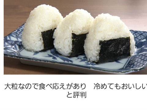 【新米7年】産精白米10kg 虹のきらめき