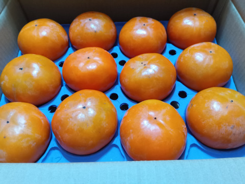 【家庭用】【富有柿】3.5kg  (12玉〜14玉)【訳アリ】