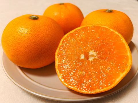 [発送開始！] 愛媛県産 せとか 家庭用 3kg