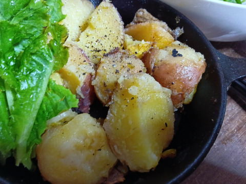 じゃがいも　グランドペチカ　肥料農薬不使用、自家採種　自然栽培