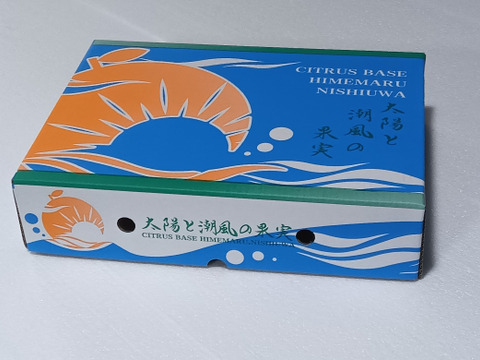 プチプチ甘～い！ひめまる甘平【優品・３Kg】