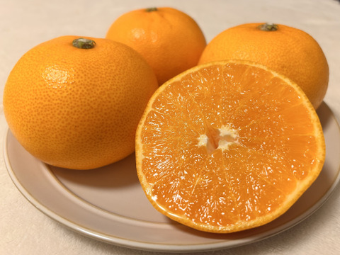 [発送開始！] 愛媛県産 せとか 家庭用 5kg