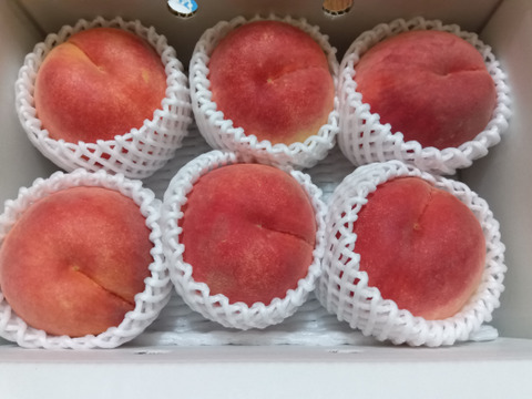 桃名人厳選　桃　『さくら白桃』2ｋｇ（5-8玉）