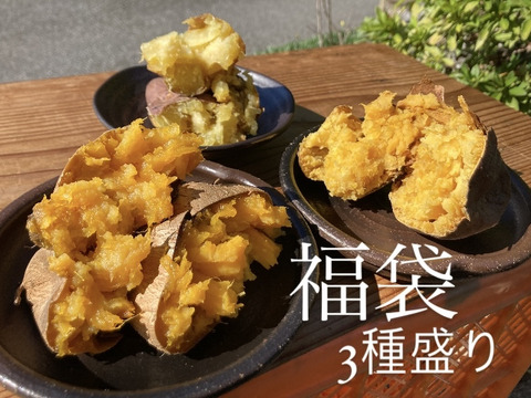 【福袋】限定50箱🉐熟成さつまいも食べ比べ🍠個性的な形でも味は同じ🍯《訳あり》蜜溢れる安納芋、安納黄金、紅はるか（ご家庭用•10キロ）見た目が気にならなければ超お得！年に一度だけの特別な福袋✨