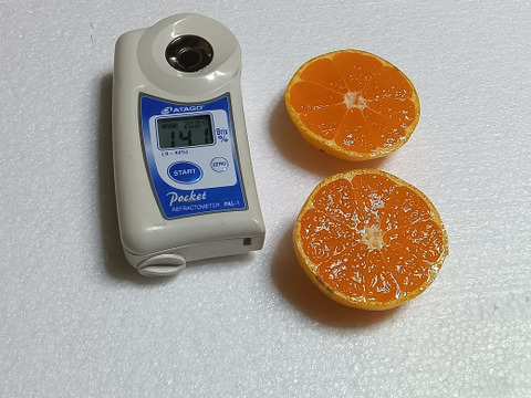 とにかく甘い！ひめまる石地みかん（小玉３Kg）