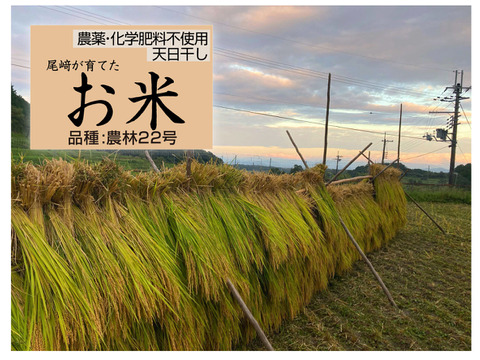 ◆令和7年新米◆農薬化学肥料不使用・天日干し◆白米粒が光る最高級棚田米 農林22号 滋賀県大津産 白米2kg
