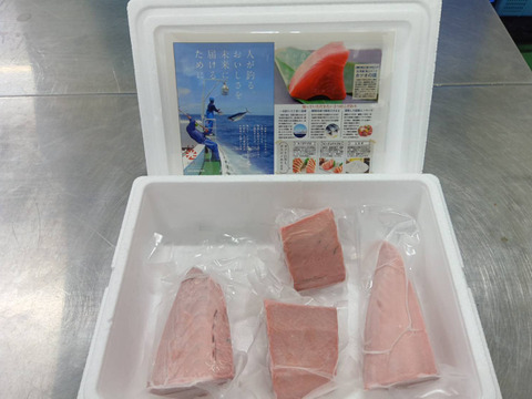 B1カツオ赤身刺身用4ブロック
