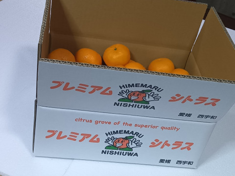 濃厚果汁！南津海（なつみ）贈答用５Kg