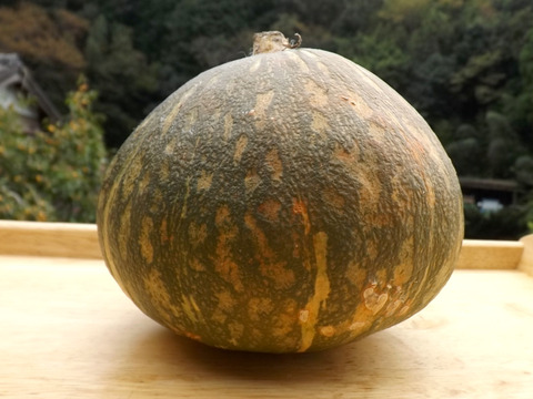 ハロウィン★かぼちゃジャム