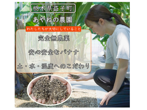 【ご家庭用】皮まで食べれる！農薬不使用、栃木県益子町産バナナ(2kg)