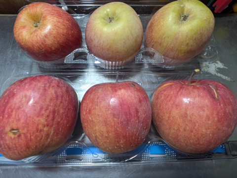 熟した柿とリンゴの箱詰め