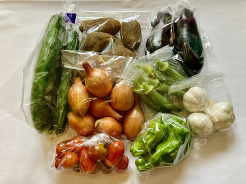 【栽培期間中、農薬・肥料不使用】旬のお野菜詰め合わせセット（5～8品目）