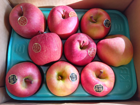 權之丞の葉取らずミックス！　🏆2025年りんごGP金賞受賞🎊葉取らず高徳&葉取らずコスモふじ　家庭用2kg【5〜10個入り】