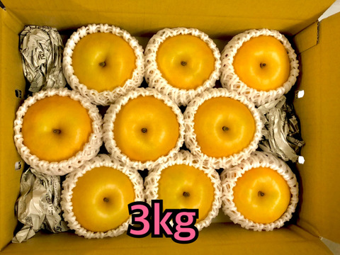 梨　南水　良品　長野県産　大好評‼️
約3kg(7個〜10個)