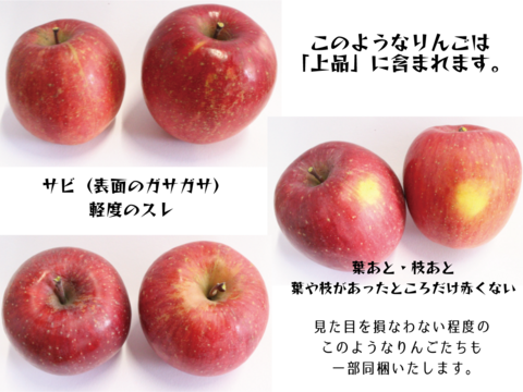 ☆新春セール価格☆サンふじ上品5キロ大玉（10〜14玉）※化学合成農薬30%以上削減　〜着日指定可〜