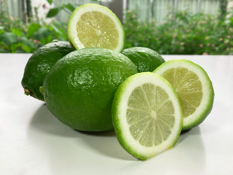 ワックス/防腐剤不使用　ジューシー香り抜群！広島蒲刈産グリーンレモン2KG 訳あり品ジュース用（Sサイズ以上：約13個）