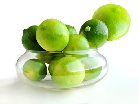 ライム,、 ベルガモット合わせて1.8ｋｇ 【柑橘食べ比べ】