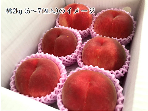【有機栽培の美味しい浅間白桃約2kg】自然に優しく希少でジューシーな天然桃(6～7個入)！