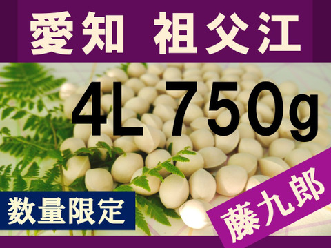 タイムサービス！5kg3Lサイズ！本家やませき！本場岐阜県産