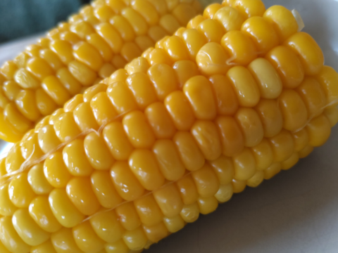 ✨️お得！！✨️１０本入り✨️先端カット🌽　✨️
お得なお値段設定の訳は　

規格外の理由を
必ずご確認くださいませ