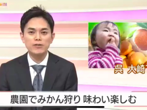 【ミニサイズ限定】完熟大長みかん5kg