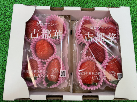 奈良県産ブランドいちご(古都華)大粒