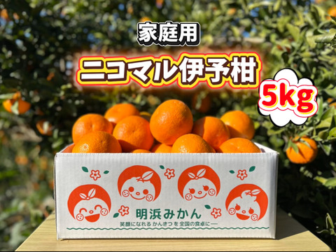 🍊香り推し🍊伊予柑　家庭用 5kg