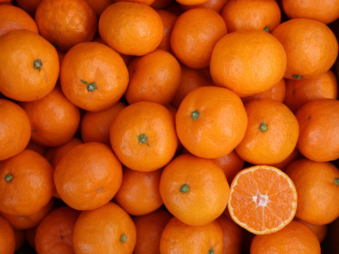 【冬ギフト】農家直送！有田みかん10kg≪3Sサイズ（超小玉） 秀品≫【平武農園】～蛍飛ぶ町から旬の便り～　和歌山｜有田｜田口｜ギフト｜こだわり　産地直送　お取り寄せ