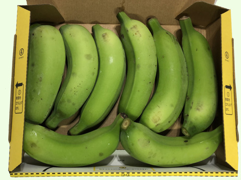 ビタミンC豊富、安心・安全！ブラジルバナナ １kg