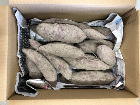 【ねっとり】甘くてねっとりとした食感！焼き芋や干し芋などに最適なサツマイモ『紅はるか』3kg