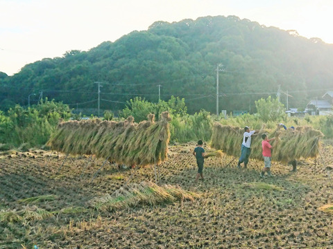 自然栽培米 【 ハッピーヒル】 (玄米10kg)　令和4年度産／農薬・肥料不使用・はざかけ天日干し