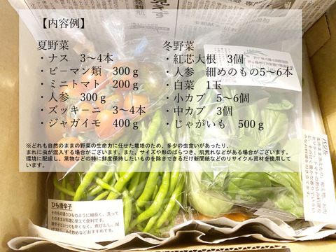 草の堆肥と雨水だけで育てた旬の固定種野菜セット【農薬不使用・無肥料