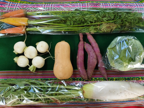 高齢者向け 定番野菜セット 旬の野菜7品　パチャママ農園