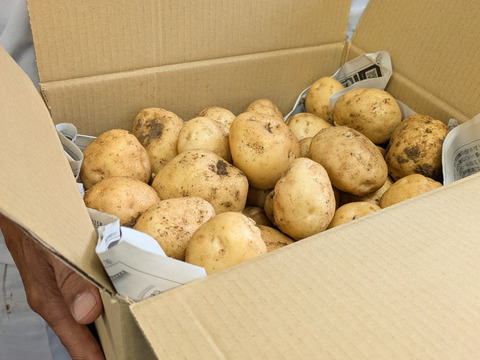 【ストックに最適！】農薬・化学肥料不使用☆M・L混在じゃがいも５㎏（男爵）