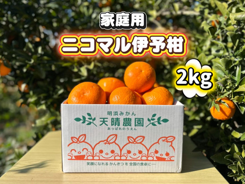 🍊香り推し🍊伊予柑　家庭用 2kg