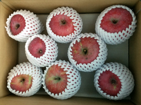 【限定４箱のみ】栽培期間中肥料・農薬不使用の大玉フジ約３キロ箱　7〜10玉