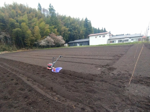 「二大じゃが頂上決戦！ホクホク派のための“プレミアムじゃがセット”」【那須高原産】キタアカリ・男爵　各３Ｋ