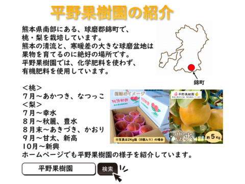 熊本のイチオシ梨！『清流球磨梨』秋麗　約5kg(5〜14個入り)