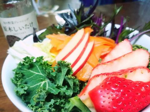 【希少品種】ピンクレディー®5kg箱｜冬の終わりに一番おいしい“大人のりんご”