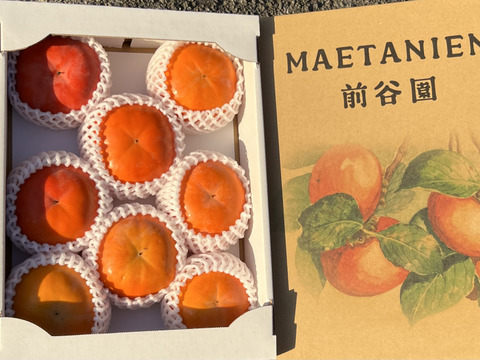 贈答用　富有柿　3㎏　（8〜12個入り）