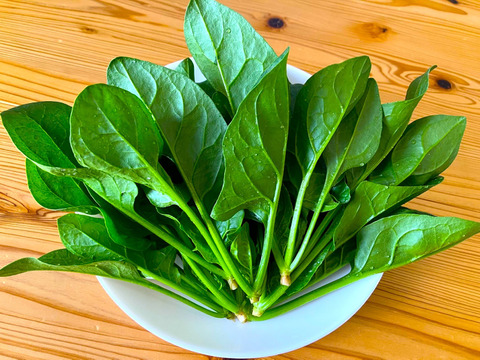 【ミカサ様専用】野菜セット(春菊12パック、ほうれん草12パック)