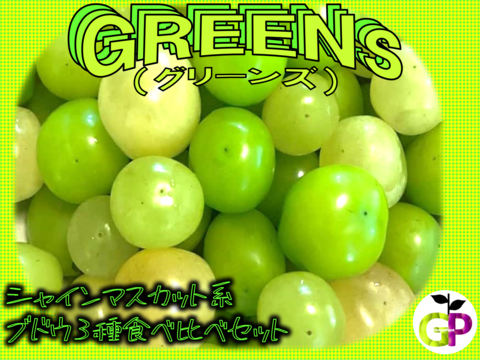 シャインマスカット系3種食べ比べ　『GREENS　グリーンズ』　500g×1P　朝採り新鮮！夏の終わりのブドウ祭り 只今２０％増量サービス中！！