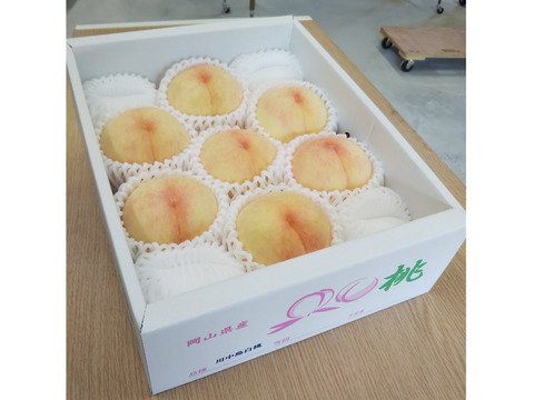 岡山白桃シリーズ随一の高糖度！【川中島白桃・白皇】（ご家庭用・約2kg）