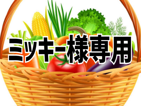 ミッキー様専用：兵庫県産の野菜｜食べチョク｜産地直送(産直)お取り寄せ通販 - 農家・漁師から旬の食材を直送